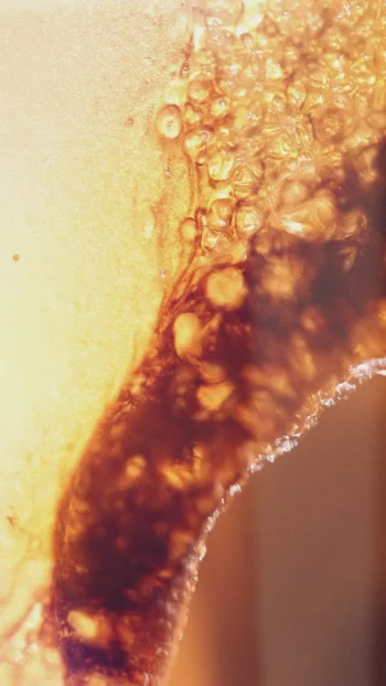 ELM Tops|Winter Style-FERN MIXED KNIT MULTI